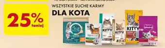 Biedronka Karma dla kota z wołowiną i warzywami Kitty oferta