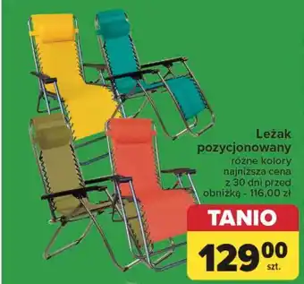 Carrefour Leżak pozycjonowany oferta