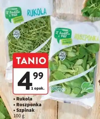 Intermarche Szpinak młody Z Sadów I Pól oferta