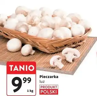 Intermarche Pieczarki polskie oferta