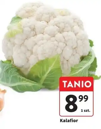 Intermarche Kalafior oferta