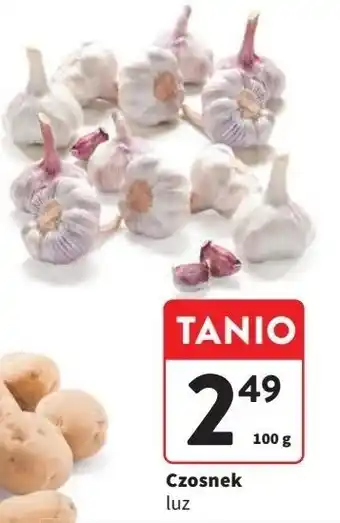 Intermarche Czosnek oferta