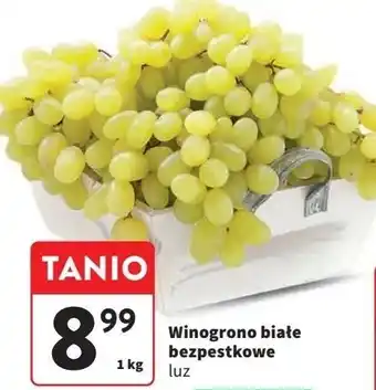 Intermarche Winogrona białe bezpestkowe oferta