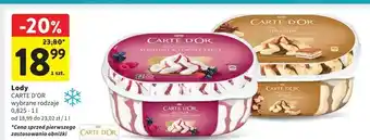 Intermarche Lody yoghurt & forest fruit Algida Carte D'or oferta