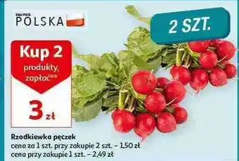 Auchan Rzodkiewka oferta