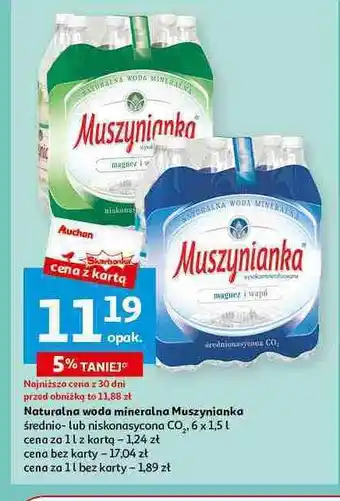 Auchan Woda gazowana Muszynianka oferta