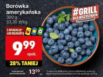 Delikatesy Centrum Borówka amerykańska oferta