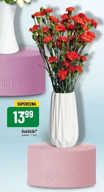 Polomarket Goździki 7 szt. oferta