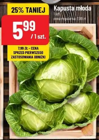 Polomarket Kapusta młoda oferta