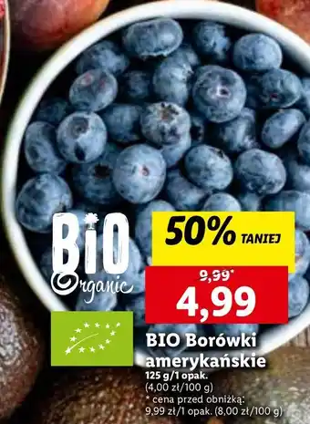 Lidl Borówka amerykańska bio oferta