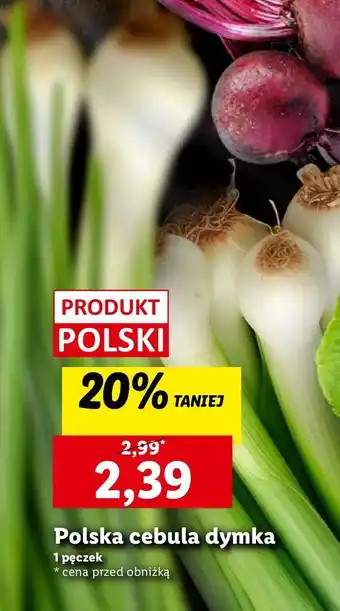 Lidl Cebula dymka oferta