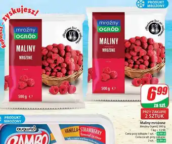 Dino Maliny Mroźny Ogród oferta