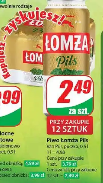 Dino Piwo Łomża Pils oferta