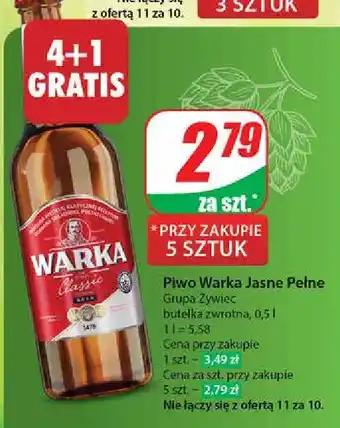 Dino Piwo Warka oferta