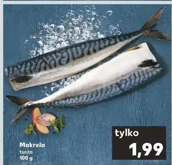 Kaufland Makrela tusza oferta