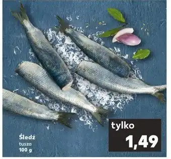 Kaufland Śledz tusza oferta