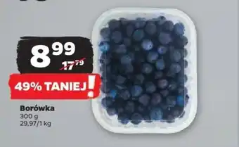 Netto Borówka 300 g oferta