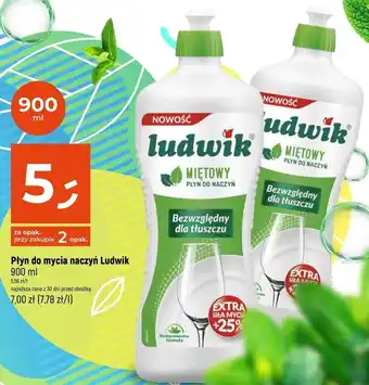Dealz Płyn do mycia naczyń miętowy Ludwik oferta
