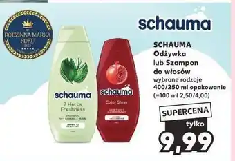 Kaufland Odżywka do włosów Schauma Color Shine oferta