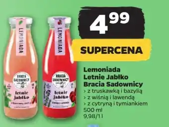 Netto Lemoniada Letnie Jabłko Bracia Sadownicy 500 ml oferta