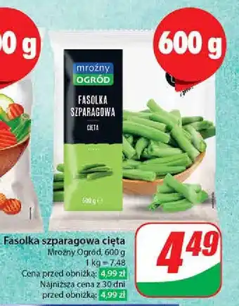 Dino Fasolka szparagowa cięta Mroźny ogród oferta