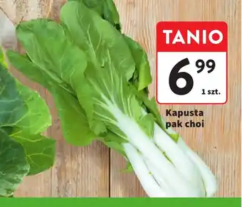 Intermarche Kapusta pak choi oferta