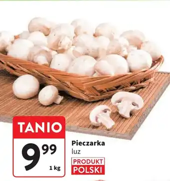 Intermarche Pieczarka 1 kg oferta