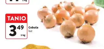 Intermarche Cebula 1 kg oferta