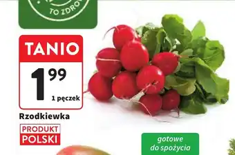Intermarche Rzodkiewka oferta