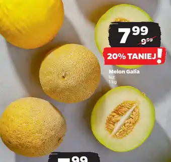 Netto Melon Galia oferta