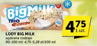 Groszek LODY BIG MILK 90-100 ml oferta