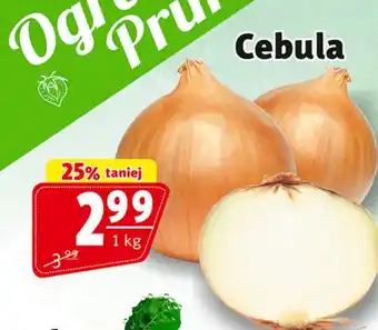 Prim Market Cebula oferta