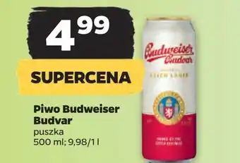 Netto Piwo Budweiser oferta