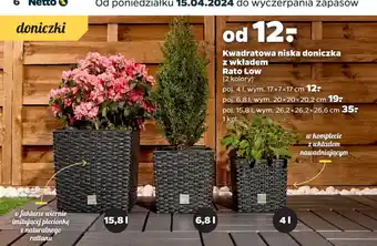 Netto Doniczka rato low 15.8l oferta