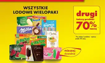 Biedronka Lody waniliowe ze śmietanką Zielona Budka oferta