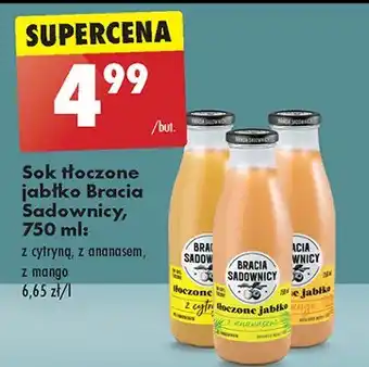 Biedronka Sok tłoczony jabłko i ananas Bracia Sadownicy oferta