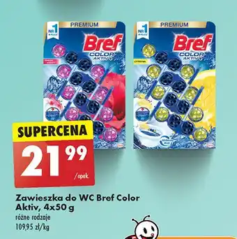 Biedronka Zawieszka do wc świeże kwiaty Bref Color Aktiv (Wcześniej Blue Active) oferta