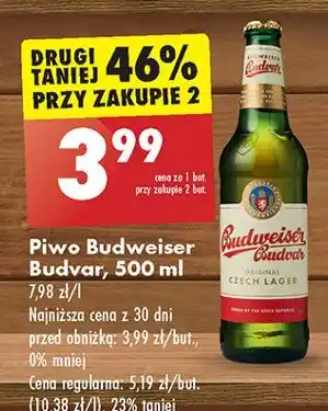 Biedronka Piwo Budweiser oferta