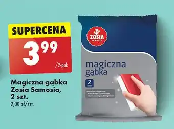 Biedronka Magiczna gąbka Zosia Samosia oferta