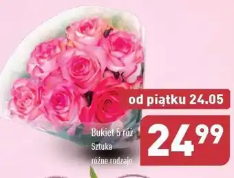 ALDI Róże oferta