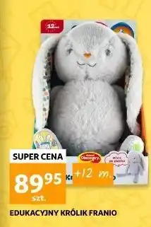 Auchan Królik franio oferta