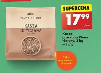 Biedronka Kasza gryczana prażona Plony natury oferta