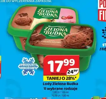 Delfin Lody Zielona Budka 1 l oferta