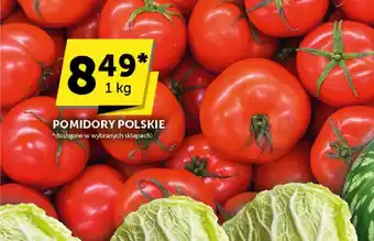 Euro Sklep Pomidory oferta