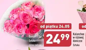 Bukiet 5 róż