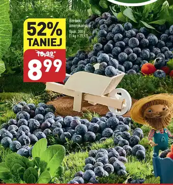 ALDI Borówki amerykańskie 300 g oferta