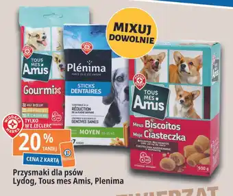 E.Leclerc Ciasteczka dla psa Wiodąca Marka Tous Mes Amis oferta