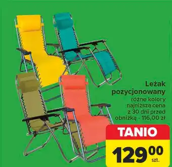 Carrefour Leżak pozycjonowany oferta
