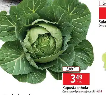 E.Leclerc Kapusta młoda oferta