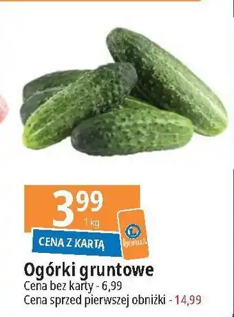 E.Leclerc Ogórek gruntowy oferta